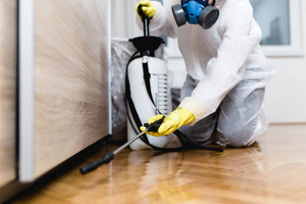 Best Ant Control Services  in Vernon, TX