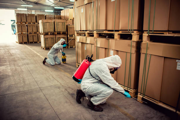 Best Flea Control Services  in Vernon, TX