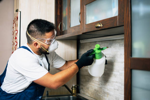 Best Best Pest Control Companies  in Vernon, TX