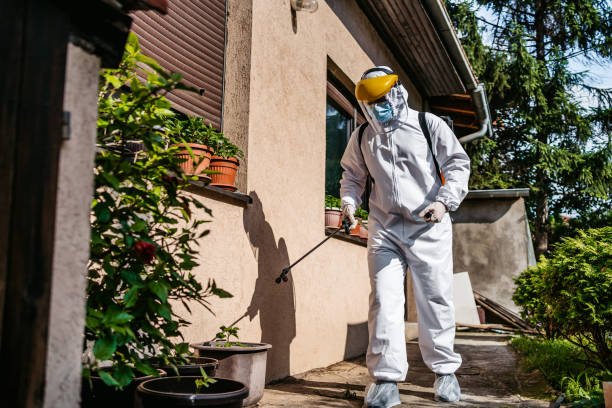 Best Pest Prevention Services  in Vernon, TX