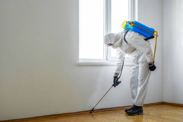 Best Pest Removal Services  in Vernon, TX