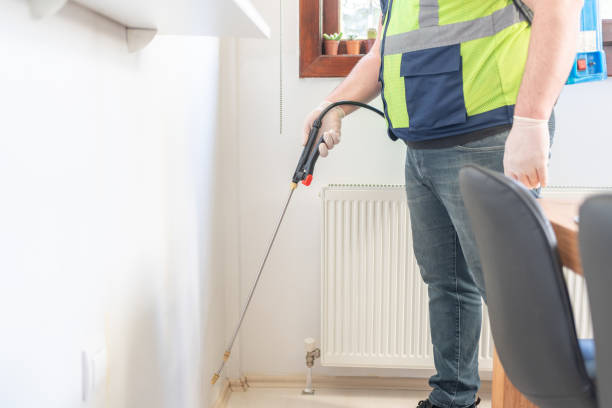 Flea Control Services in Vernon, TX