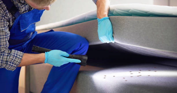 Best Residential Pest Control  in Vernon, TX